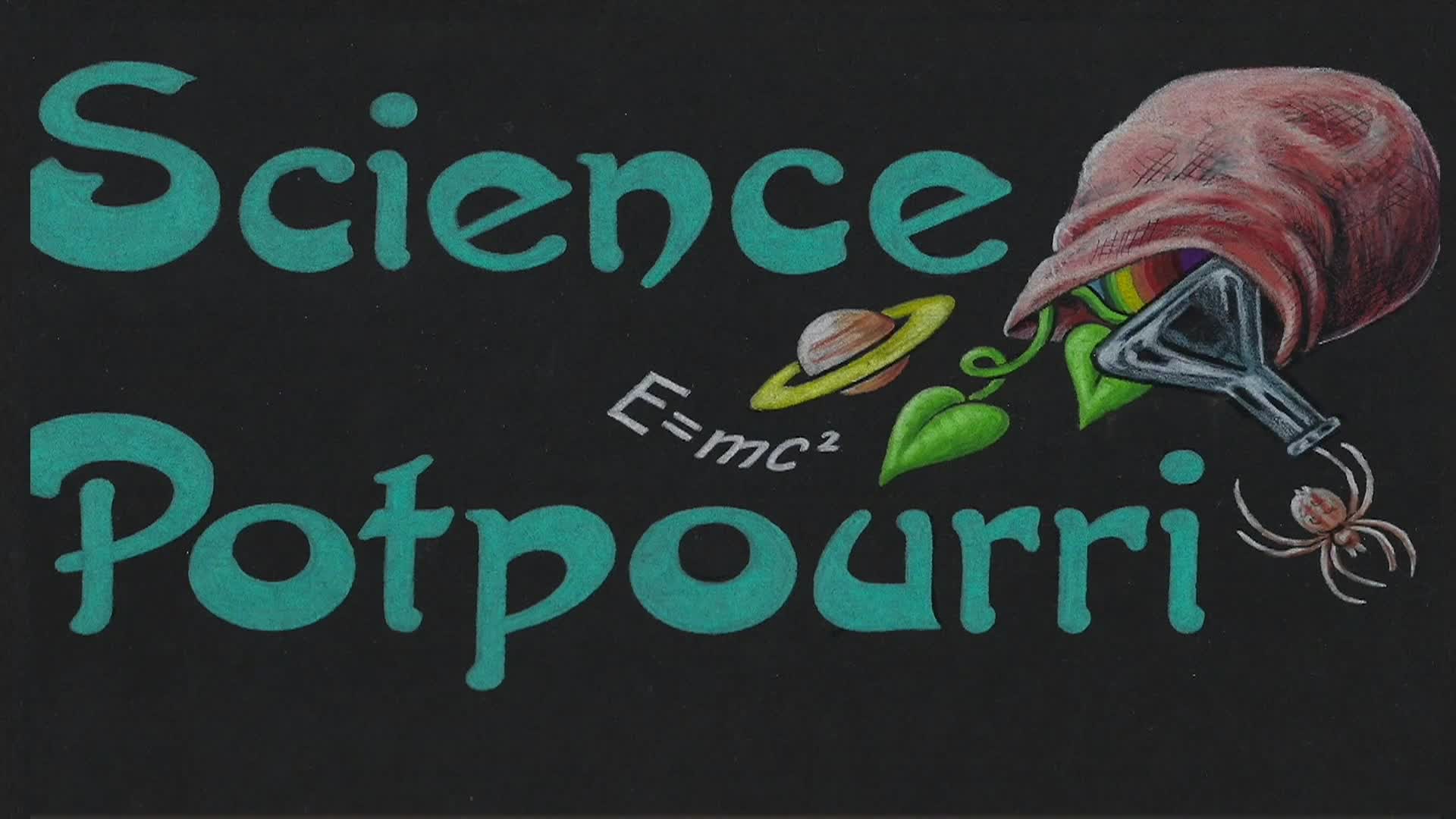 Thumbnail image for Science Bowl 2024-25 MS 15 FINALS: Greenbelt vs Kenmoor